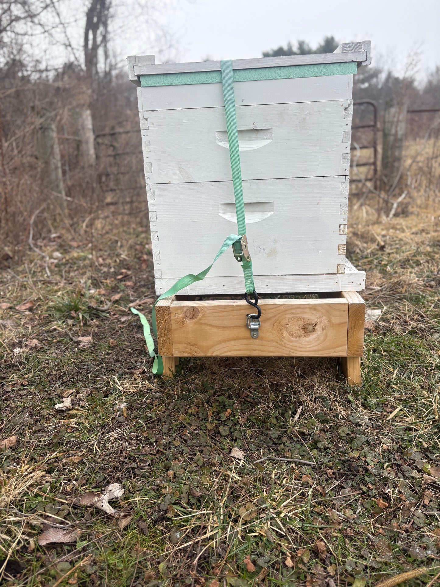 Fold Up Hive Stand