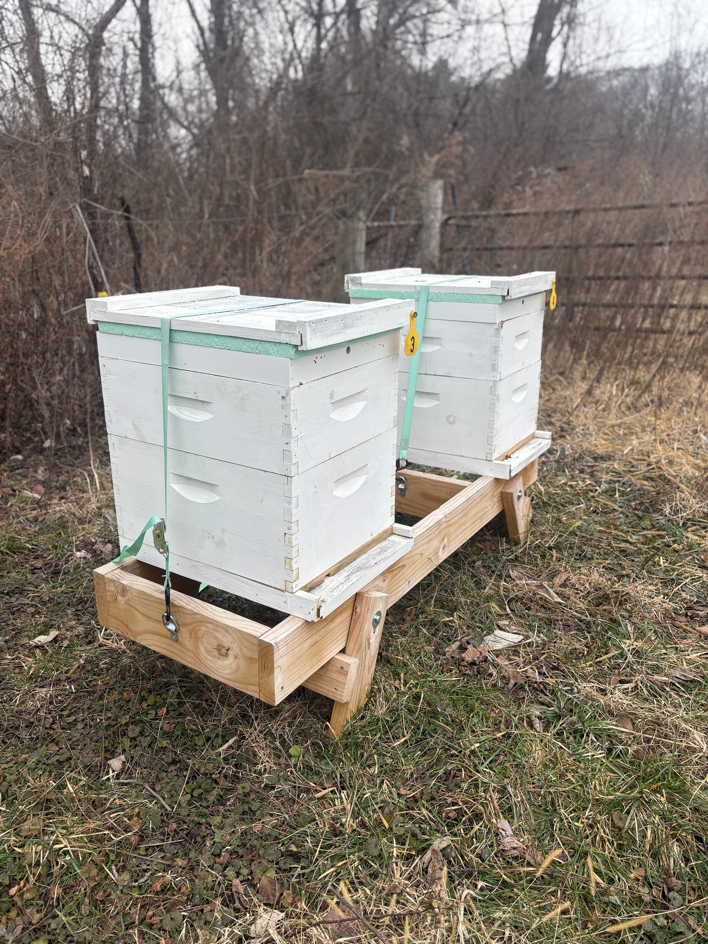 Fold Up Hive Stand