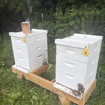 Fold Up Hive Stand