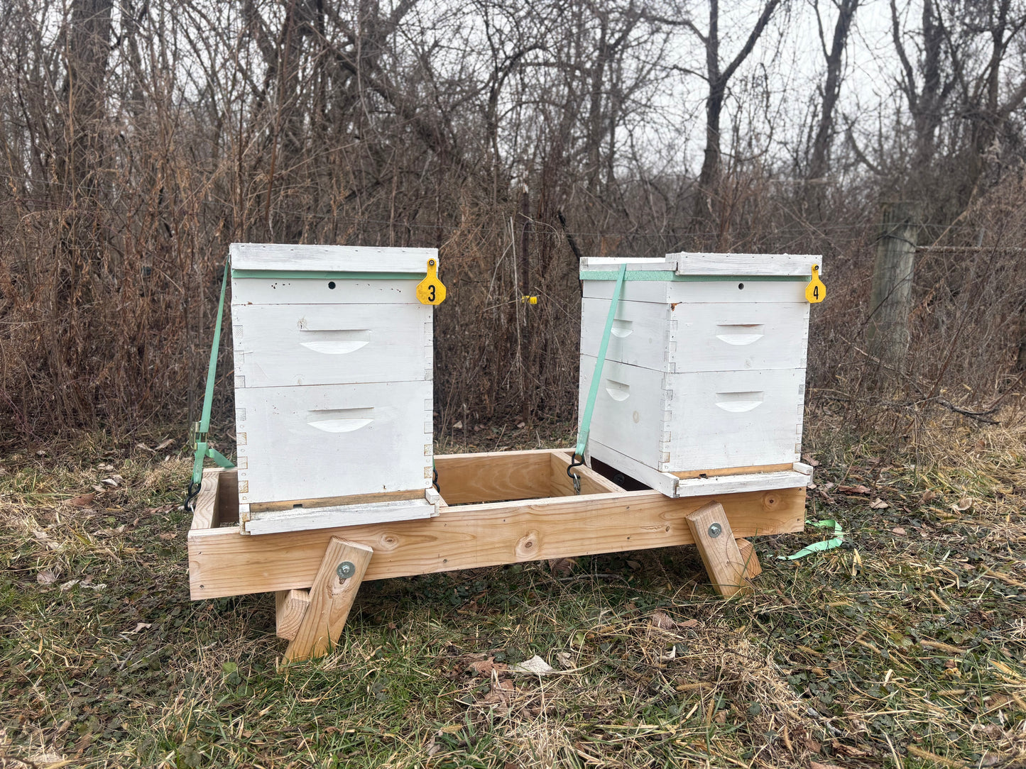 Fold Up Hive Stand